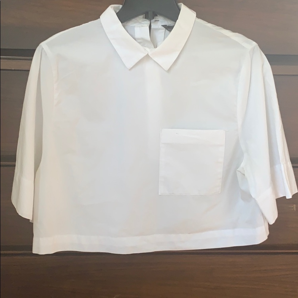 Zara button down crop top. White, 100% Cotton